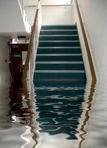 Basement Water Proofing Lakewood.