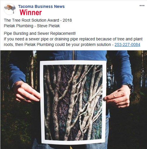 Tree Root Award Winner 2018 - Tacoma Business News.
